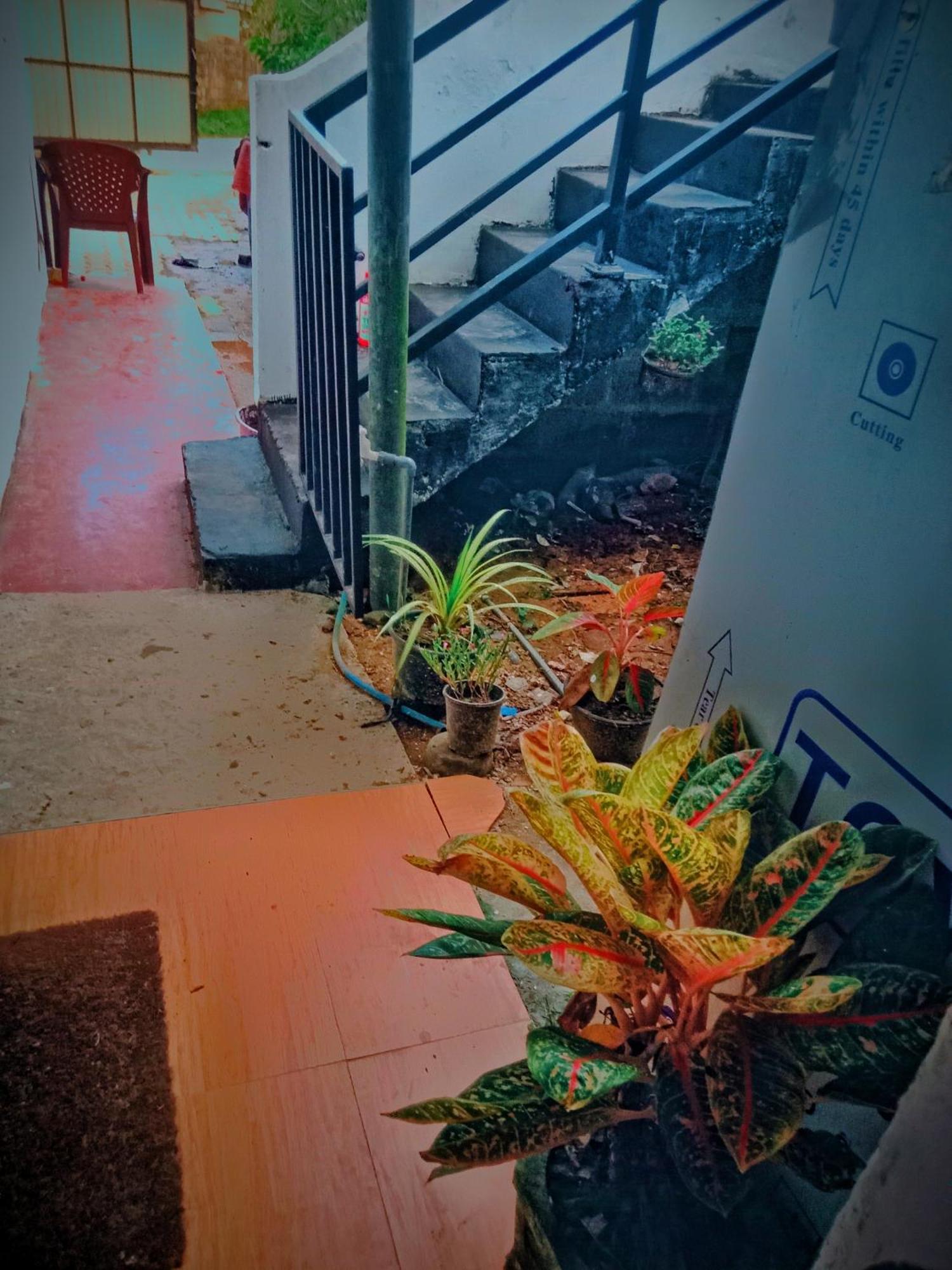 Sandaru Surffing Inn Weligama Exterior foto