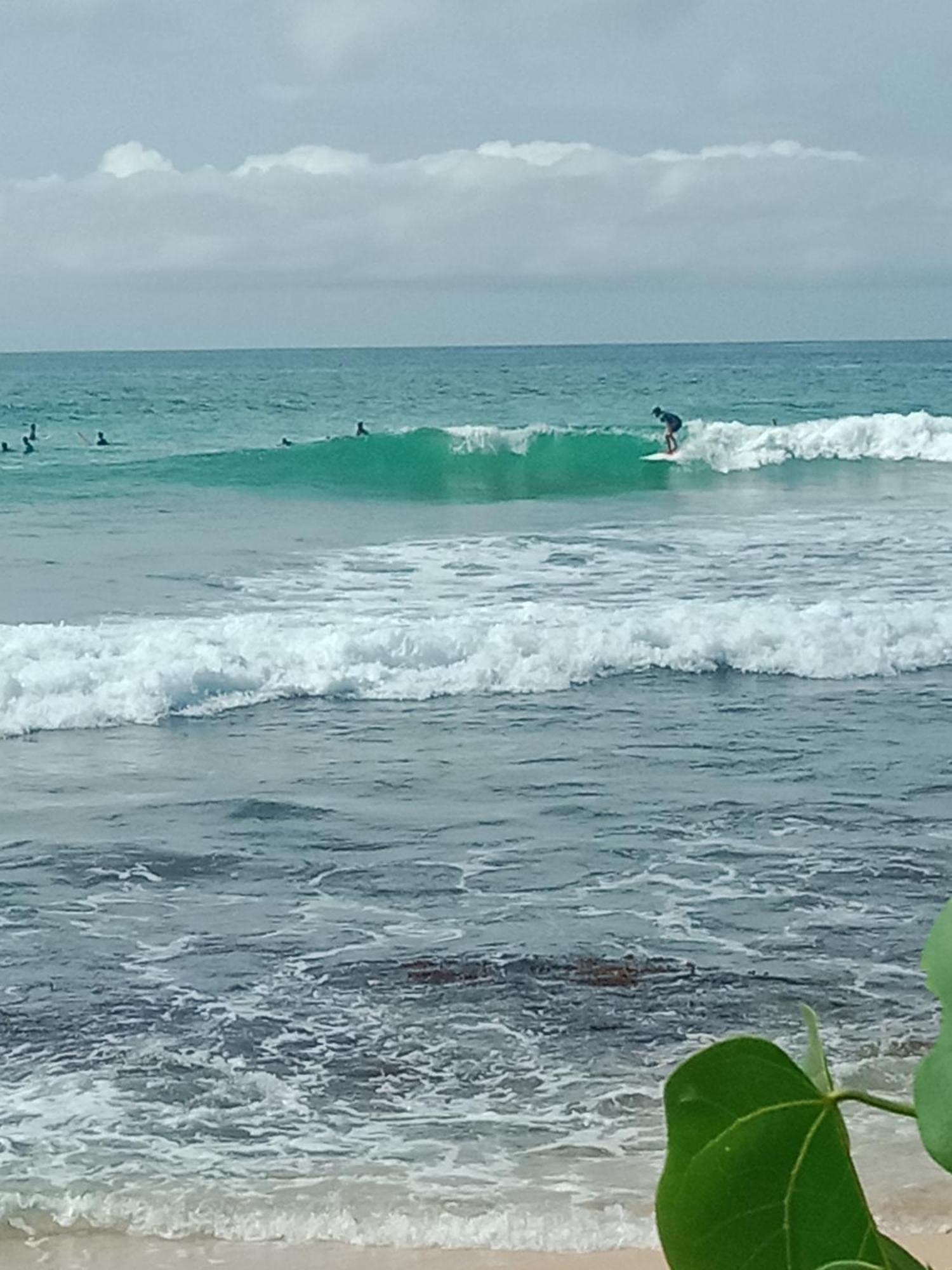 Sandaru Surffing Inn Weligama Exterior foto